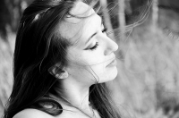 Дыхание леса