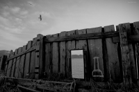 Взгляд из прошлого...