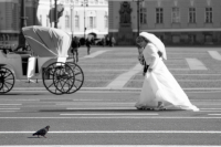 На встречных курсах...