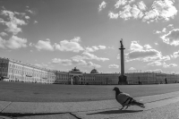 Питер с высоты птичьего помёта