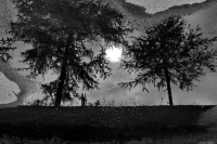 Водный минимализм