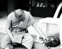 про любовь...