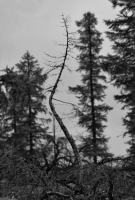 одиночество