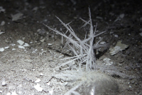 про ростущие кристаллы