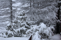 иногда она возвращается