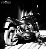 В дорожной пыли