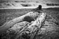 Испытание временем