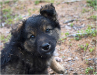 Подрастающее поколение