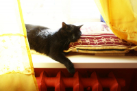 Хорошоооооо =^_^=