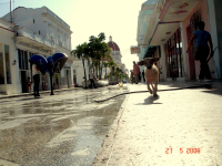 пёс-ушастик и застывшая вода