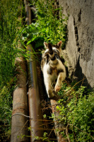 Вдоль Городской Суеты