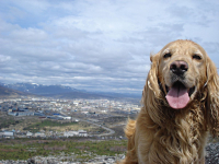 на прогулке