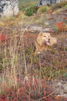 мы на прогулке