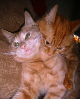 Ржавый и Башка)))))))