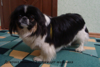 Ищем мальчика