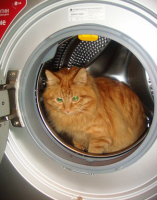 Постирушки