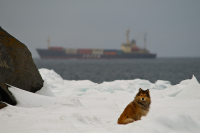 о жителе Маяка...