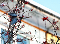 главное не уронить....