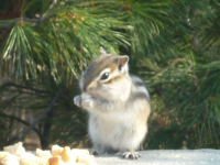 Маленький обжорка))