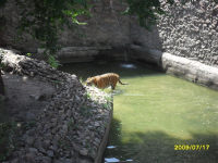 зоопарк(Николаев-Украина)