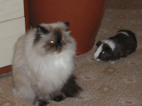 Познакомимся_поближе