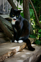 Вот Вам Всем!