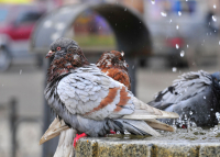 Лето - это маленькая жизнь...