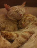 Сонное царство 8)