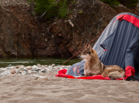 Вход на замке