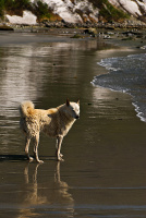 пригрелась...