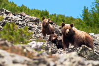 Ходишь здесь -стоишь!!!