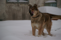 эх перекушу сейча...