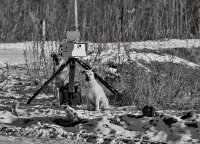 Превысил! Поделись)