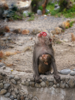 Загорать, так загорать!