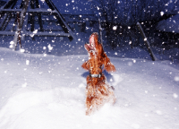 Вкусный снег