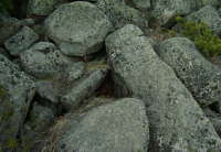 Вид на жительство.