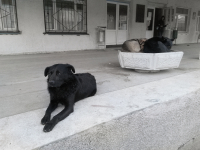 Третий лишний