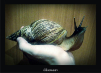 Улитх - мини ситх)