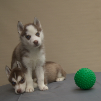 Ржавые брат и сестра))