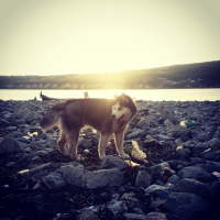 вечерняя прогулка:)