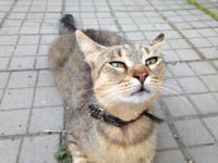 Выше голову, детка!