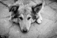 А кушать-то хочется...