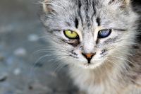 Взгляд ЗА ГРАНЬЮ