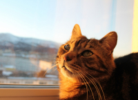 Встречая рассвет