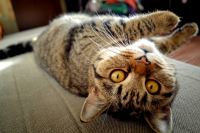 А у нас еще утро)