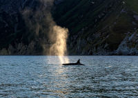 Вдох-выдох...