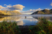 Непостижимая сущность Серого