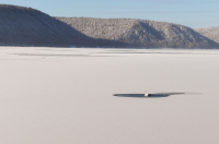 Термоядерный лебедь