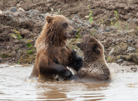 Мамка и сынуля