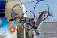 Олимпийское трио